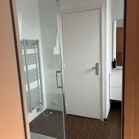 شقة Grand Duplex De 80M2 Alençon المظهر الخارجي الصورة